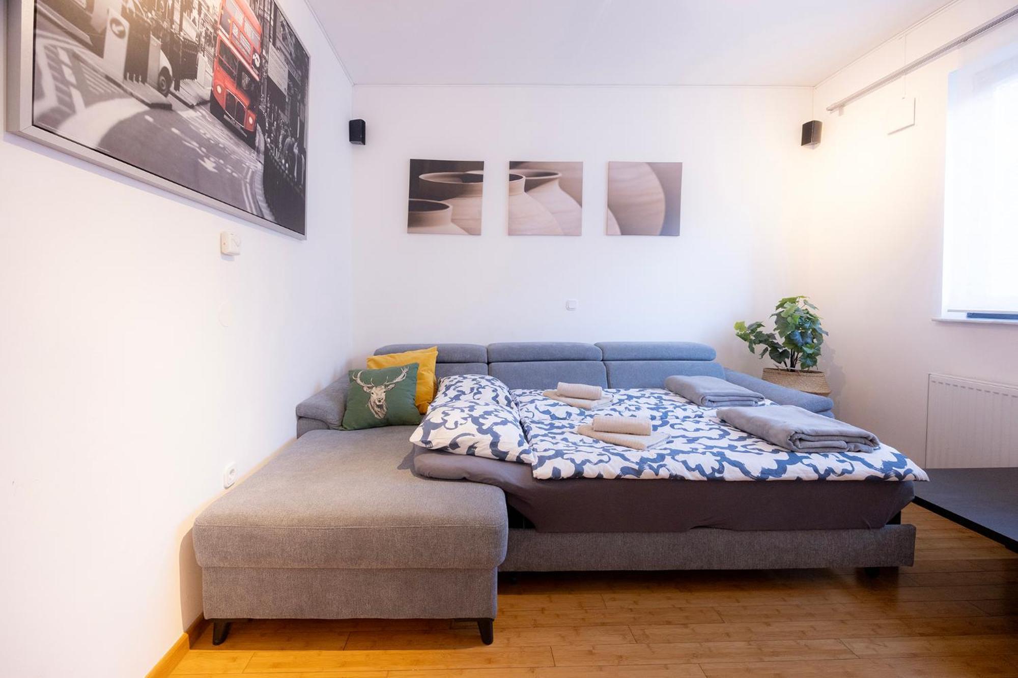 Apartmaji Anze 크라니스카고라 객실 사진
